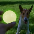 Іграшка-м'яч для собак BronzeDog Skipdawg Neon Glow ball, Світлонакопичувальні, 7 см