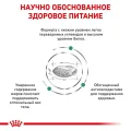 Сухий корм Royal Canin Diabetic при цукровому діабеті у кішок, 1.5 кг