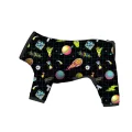 Дощовик Waudog Clothes для собак, малюнок "Рік і Морті 2", M45