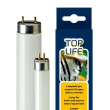 Люмінесцентна лампа Ferplast Aquasky 54 W Lamp T5 для акваріумів з прісною і морською водою, 115 см