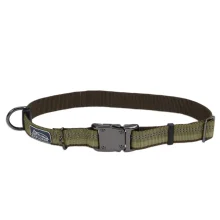 Нейлоновий нашийник Coastal K9 Explorer для собак, зелений, 2.5×45-65 см