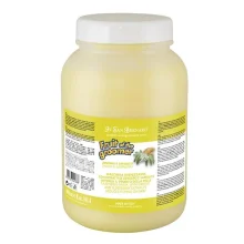 Шампунь для тварин Iv San Bernard Ginger and Elderberry, 3.25 л.