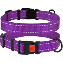 Нашийник BronzeDog Active, для собак, нейлоновий, фастекс пластик, фіолетовий, 30-40×2 см