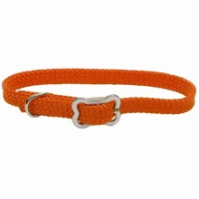 Нейлоновий нашийник Coastal Sunburst для собак, зелений, 1×30 см