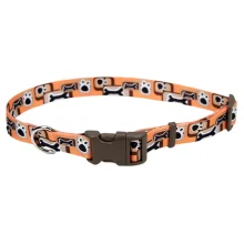 Нашийник Coastal Pet Attire Style для собак, помаранчевий, 2.5×45-71 см