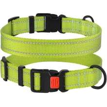 Нашийник BronzeDog Active, для собак, нейлоновий, фастекс пластик, салатовий, 43-66×2.5 см
