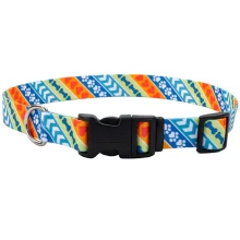 Нашийник Coastal Pet Attire Style для собак, різнокольоровий