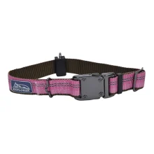Нейлоновий нашийник Coastal K9 Explorer для собак, рожевий, 2.5×30-45 см