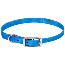 Нашийник Coastal Nylon Web для собак, блакитний, 1×25 см