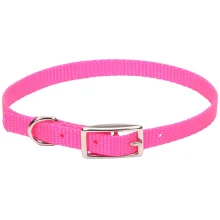 Нашийник Coastal Nylon Web для собак, ярко-рожевий, 1×30 см