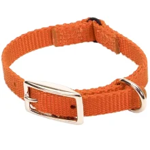 Безпечний нашийник Coastal Nylon Web для кішок, апельсиновий, 1 × 20 см