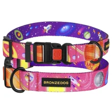 Нашийник BronzeDog Urban Cosmos, для собак, нейлоновий, фастекс пластиковий, рожевий, 35-53×2.5 см