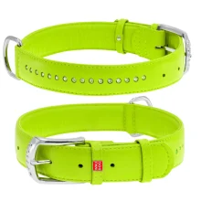 Нашийник WAUDOG GLAMOUR, зі стразами, ширина 35 мм, довжина 46-60 см, салатовий