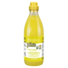 Шампунь для тварин Iv San Bernard Ginger and Elderberry, 500 мл.