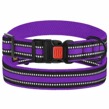 Нашийник BronzeDog Urban Mesh, для собак, нейлон і 3-D сітка, фастекс пластик, фіолетовий, 43-66×2.5 см