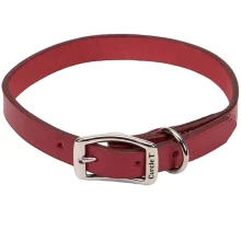 Шкіряний нашийник Coastal Circle T Leather Town для собак, червоний, 2.5×55 см