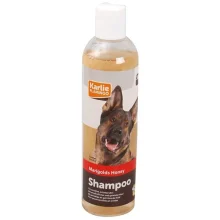 Шампунь Flamingo Marigold "s Honey Shampoo для собак з календулою і медом, для чутливої ​​шкіри, 300 мл