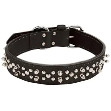 Подвійний нашийник Coastal Spiked Leather для собак, з шипами, чорний, 4.25×65 см
