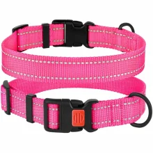 Нашийник BronzeDog Active, для собак, нейлоновий, фастекс пластик, рожевий, 43-66×2.5 см