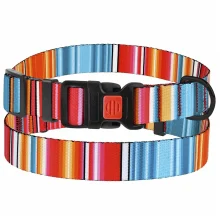Нашийник BronzeDog Urban West, для собак, нейлоновий, фастекс пластиковий, червоний, 43-66×2.5 см