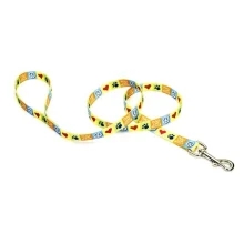 Нейлоновий поводок Coastal Pet Attire для собак, 2×1.8 см