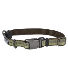Нейлоновий нашийник Coastal K9 Explorer для собак, зелений, 1.6×20-30 см