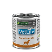Вологий Farmina Vet Life Convalescence для собак, дієта для відновлення харчування та одужання, 300 г