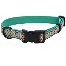 Нашийник Coastal Ribbon Weave Collar для собак, темно-бірюзовий з кісточками, 20-30×1.6 см