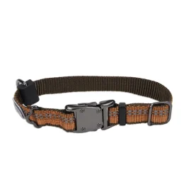 Нейлоновий нашийник Coastal K9 Explorer для собак, помаранчевий, 1.6×20-30 см
