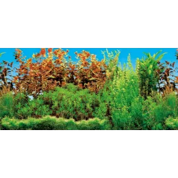 Фон для акваріума Trixie двосторонній, 60x30 см