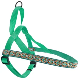 Шлея Coastal Ribbon Weave Harness для собак, темно-бірюзовий з кісточками, 48-58×2.5 см