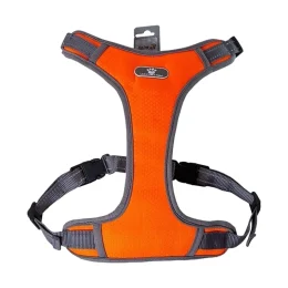 Шлея AnimAll HL-8005-1 для собак, помаранчева, M, 30-36 см/38-64 см