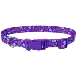 Нашийник Coastal Pet Attire Style для собак, лапка, 1×12-30 см