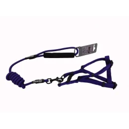 Комплект шлея з повідцем AnimAll для тварин, S, 0.8×120 см/37-46 см, синій