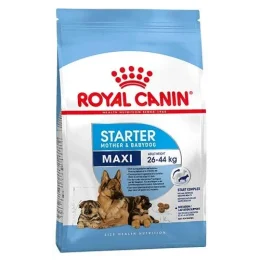 Сухий корм Royal Canin Maxi Starter для годуючих собак великих порід, 4 кг