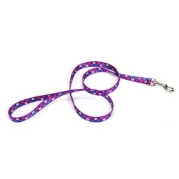 Повідець Coastal Pet Attire Style для собак, лапка, 2×1.8 м