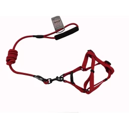 Комплект шлея з повідцем AnimAll для тварин, M, 1×120 см/44-54 см, червоний