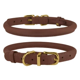 Нашийник BronzeDog Premium Crazy, для собак і котів, шкіряний, коньяк, 23-33×0.7 см