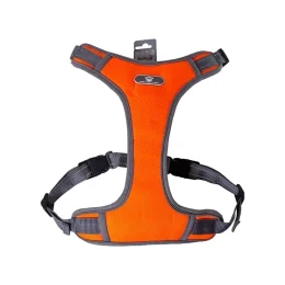 Шлея AnimAll HL-8005-1 для собак, помаранчева, S, 28-34 см/28-48 см