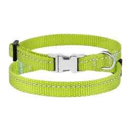 Нашийник BronzeDog Active, для собак і котів, нейлоновий, фастекс хром, салатовий, 18-28×1 см