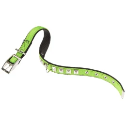 Нейлоновий нашийник Ferplast Dual CF25 / 53 Colours Green-Black для собак, 25 мм, A: 45 ÷ 53 см