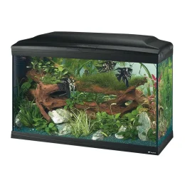 Скляний акваріум Ferplast Cayman 80 Professional Black T5 з лампами, внутрішнім фільтром і таймером, 120 л