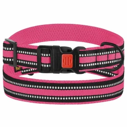 Нашийник BronzeDog Urban Mesh, для собак, нейлон і 3-D сітка, фастекс пластик, рожевий, 30-40×2 см