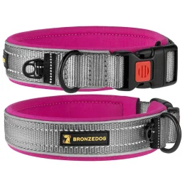 Нашийник BronzeDog Sport, для собак, неопрен, фастекс пластик, сіро-рожевий, 51-59×2.5 см