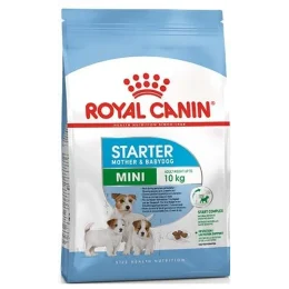 Сухий корм Royal Canin Mini Starter для годуючих собак дрібних порід, 3 кг