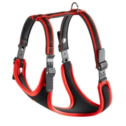 Шлейка Ferplast Ergocomfort P XS Red для собак, A: 28 ÷ 38 см, B: 37 ÷ 47 см