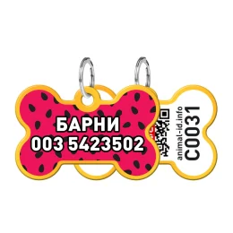 Адресник персональний WAUDOG Smart ID з QR-паспортом, малюнок "Кавун", 38 × 25 мм, золото