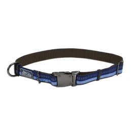 Нейлоновий нашийник Coastal K9 Explorer для собак, синій, 2.5×30-45 см