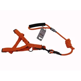 Комплект шлея з повідцем AnimAll для тварин, M, 1×120/49-96 см, помаранчевий