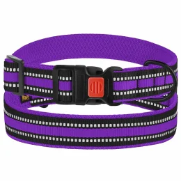 Нашийник BronzeDog Urban Mesh, для собак, нейлон і 3-D сітка, фастекс пластик, фіолетовий, 30-40×2 см